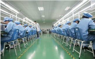 金宏雅科技 引领技术服务创新，赋能企业数字化转型