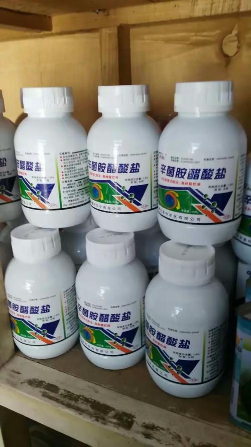 丰果科技 以技术为根，以品质为魂，服务果业新征程